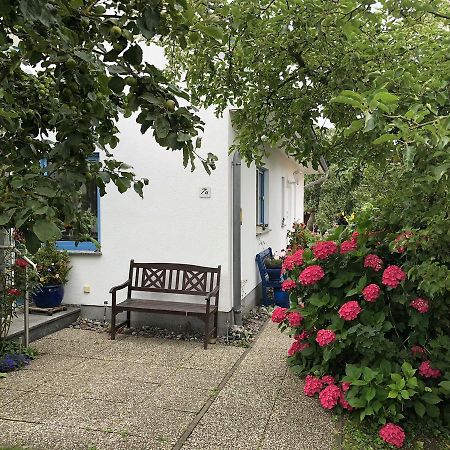 Ferienwohnung Mit Garten Wieck Zewnętrze zdjęcie